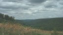 Houppeville (Forêt)