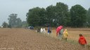 Auffay (Chemin 2)