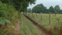 Auffay (Chemin 3)