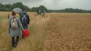 Auffay (Chemin 4)