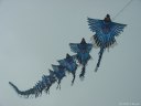 Cerfs-Volants (5)