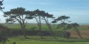 Quiberville (Pins 1)