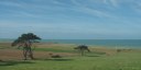 Quiberville (Pins 2)