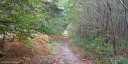 Forêt d'Arques (Sentier)