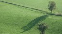 Clécy (Arbres)