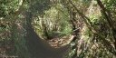 St Jean le Blanc (Sentier 1)