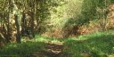 St Jean le Blanc (Sentier 2)