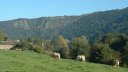 Clécy (Vaches)