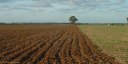 Crasville la Rocquefort (Plaine 1)