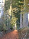 Crasville la Rocquefort (Chemin 2)
