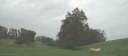 Bourville (Fond)