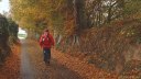 Anglesqueville la Bras Long (Route)