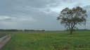 Fultot (Arbre 2)