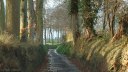 Drosay (Chemin 1)