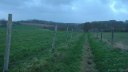 St Vaast Dieppedalle (Chemin)