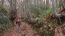 Cany-Barville (Bois)