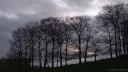 Butot-Vénesville (Arbres)