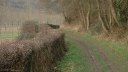 Montville (Chemin)