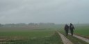 Omonville (Chemin)
