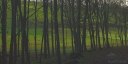St Valery en Caux (Prairie)
