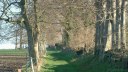 Blosseville (Chemin 1)