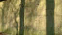 Angiens (Ombres 1)