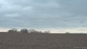 St Pierre le Viger (Plaine)
