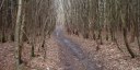 St Léger du Bourg Denis (Sentier)