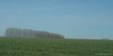 Bosc le Hard (Plaine)