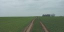 Montreuil en Caux (Chemin)
