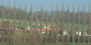 St Aubin le Cauf (Peupliers)