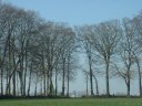 Aubermesnil Beaumais (Clocher)