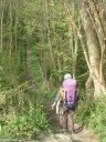 Auberville (Sentier)