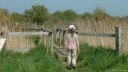Sallenelles (Passerelle)