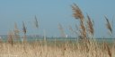 Sallenelles (Estuaire 2)