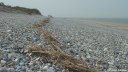 Cayeux sur Mer (Plage 1)