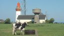Ault (Phare 2)