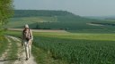 Mesnières en Bray (Chemin 2)