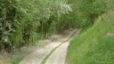 St Aubin le Cauf (Chemin)