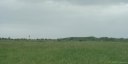 Cayeux sur Mer (Percher du Curé)
