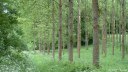Cressy (Sentier)
