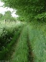 Cressy (Chemin 2)