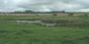 Noyelles sur Mer (Marais)