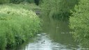 Ponthoile (le Dien 1)