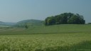 Freulleville (Colline 1)