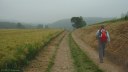 Grainville la Teinturière (Côte 2)