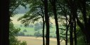 Torcy le Grand (Varenne)