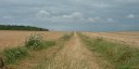 Bosquel (Plaine)