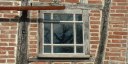 Rogy (Reflet)