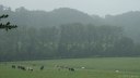 St Sylvestre de Cormeilles (Prairie)